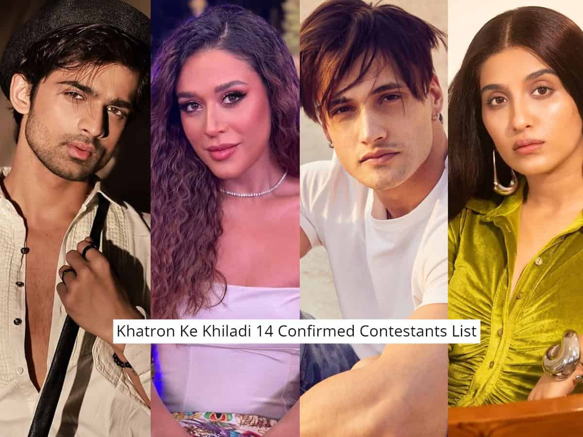 Khatron Ke Khiladi 14: All 11 confirmed contestants with photos
