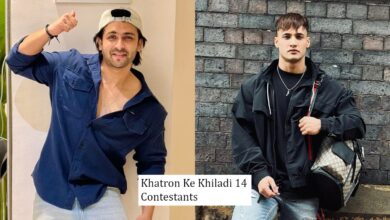 Meet 7 male contestants of Khatron Ke Khiladi 14, Shoaib OUT