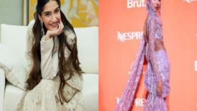 'Best outfit in Cannes': Sonam Kapoor lauds Nancy Tyagi's Cannes look