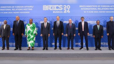 BRICS family