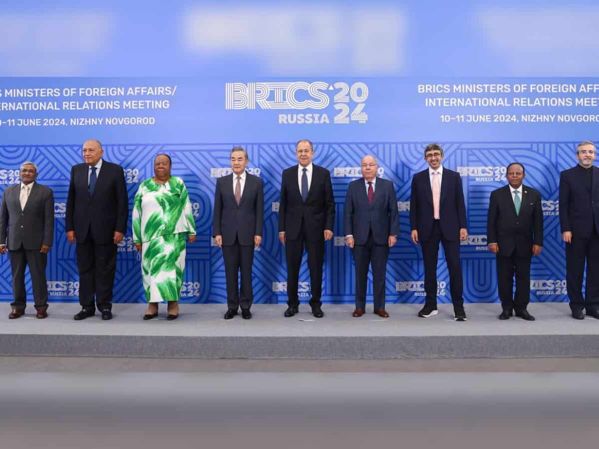 BRICS family