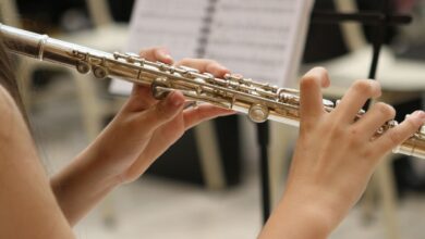 Hyderabad metro stations to host 4-day music concerts