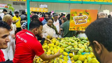Indian mango festival in Doha: Alphonso, other varieties on sale