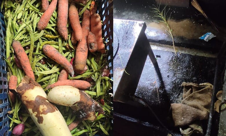 Beetle infested maida, rats: Food safety raids on JNTU Sultanpur held