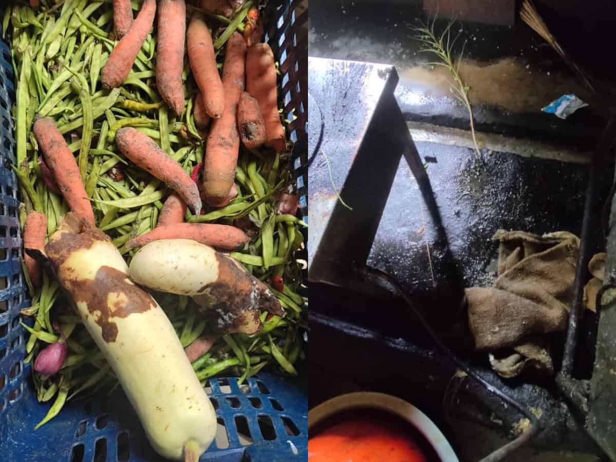 Beetle infested maida, rats: Food safety raids on JNTU Sultanpur held
