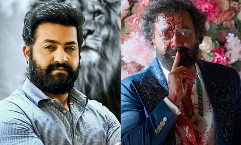 Jr NTR, Bobby Deol rumoured to share screen space for first time