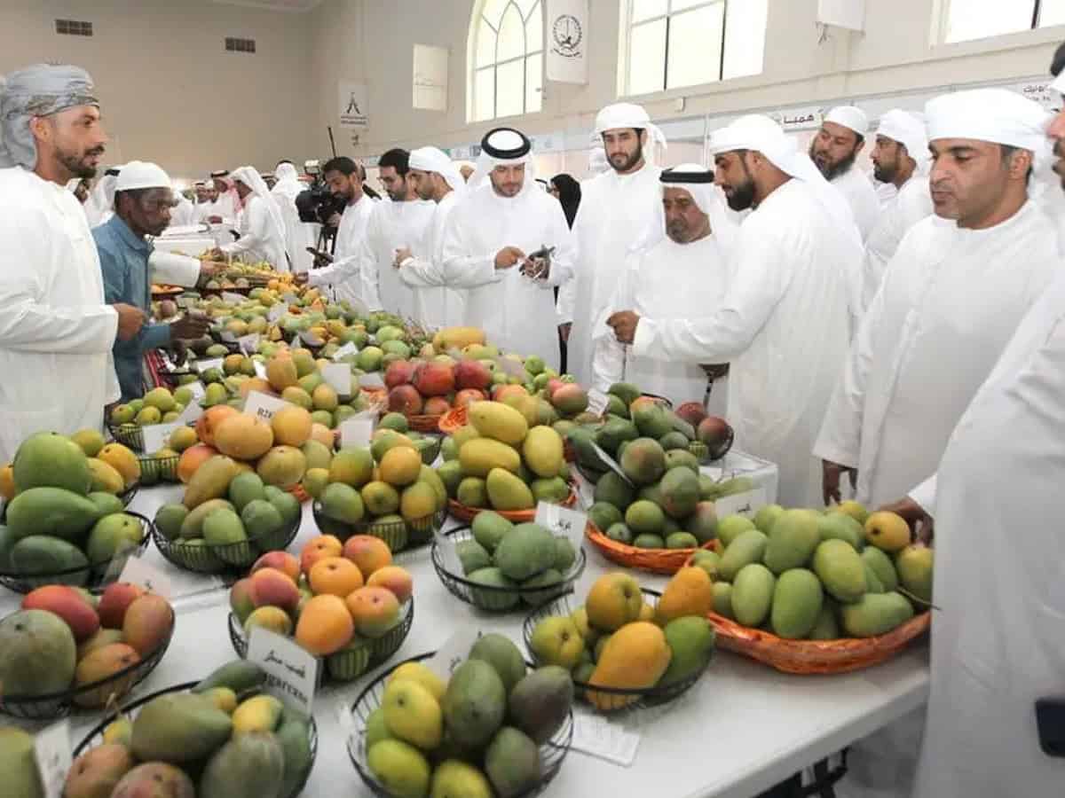 UAE: Mango Festival 2024 kicks off at Expo Khor Fakkan