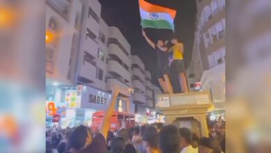 Watch: Celebrations in Dubai after India wins T20 World Cup