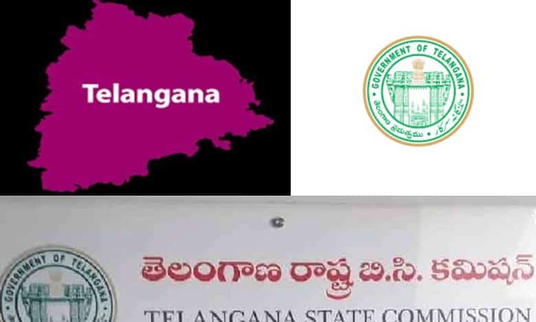Telangana backward classes commission to submit its action plan to the State government after eliciting opinions and suggestions from experts.