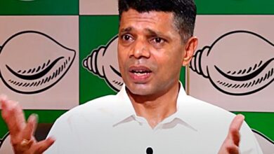 VK Pandian quits active politics