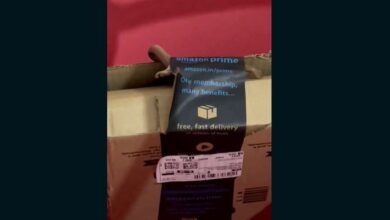 Bengaluru couple shocked as they find snake in Amazon package