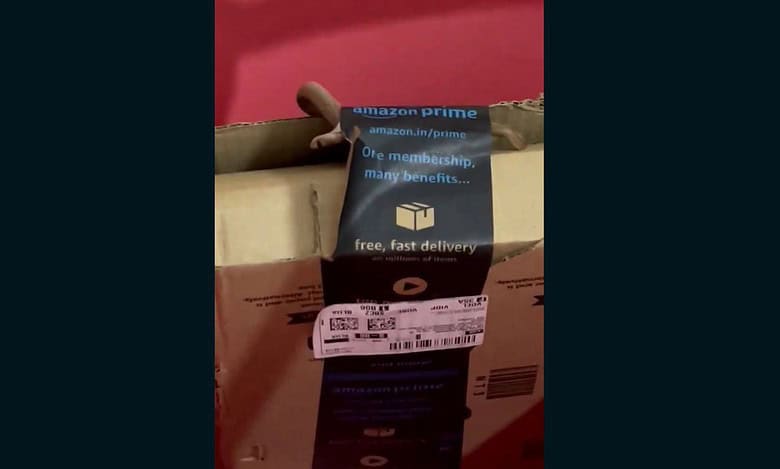 Bengaluru couple shocked as they find snake in Amazon package