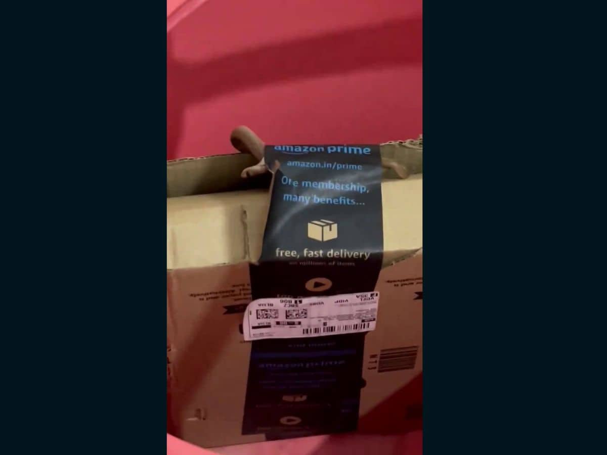 Bengaluru couple shocked as they find snake in Amazon package