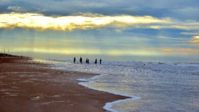 Andhra police temporarily close two beaches in Bapatla after six drowning deaths
