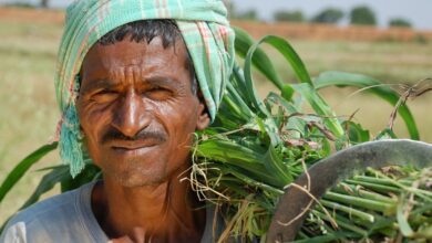 Congress demands loan waiver for farmers in Maharashtra