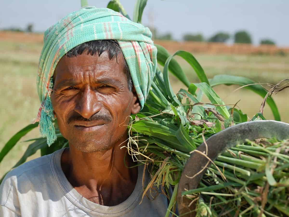Congress demands loan waiver for farmers in Maharashtra
