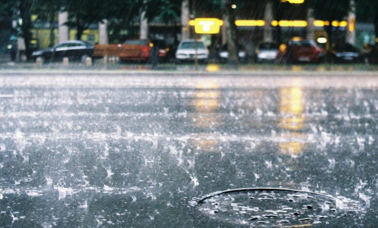 Unseasonal rain cause huge crop loss in Telangana