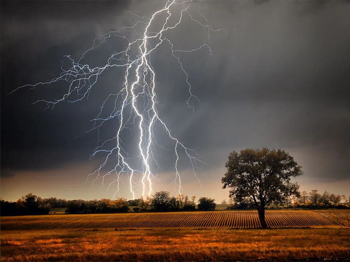 Lightning strikes claim nearly 300 lives in Bangladesh