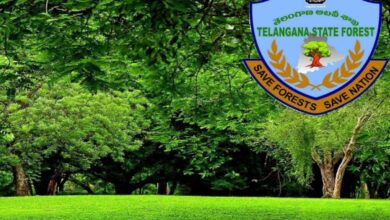 The Committee to identify lands which are free from encumbrances and other field problems, so that the identified lands form part of the State's land bank.