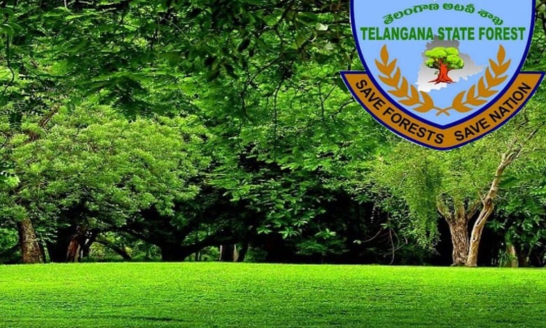 The Committee to identify lands which are free from encumbrances and other field problems, so that the identified lands form part of the State's land bank.