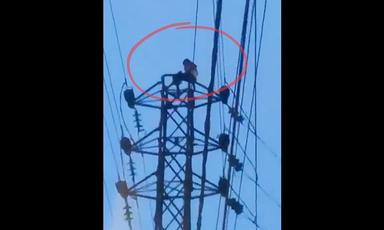 Scolded by wife, upset man climbs electricity tower in Hyderabad