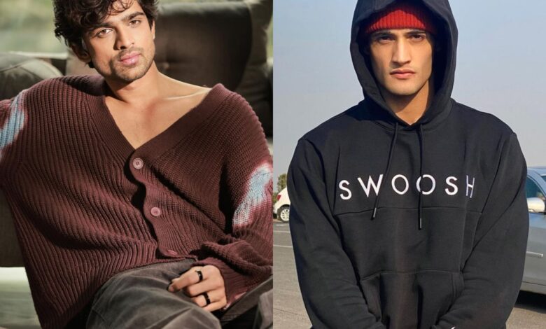 KKK 14: Abhishek Kumar drops BIG hint about Asim Riaz's eviction?