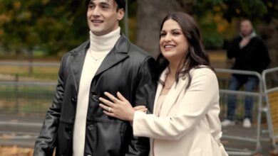 Here is MAIN reason why Asim Riaz and Himanshi Khurana brokeup