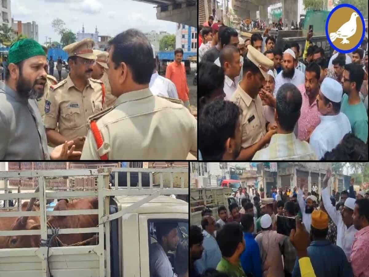 Mild tension in old city of Hyderabad as cattle carrying truck stopped