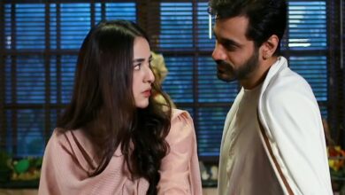 Wahaj Ali, Yumna Zaidi's Tere Bin 2: Update on cancellation news