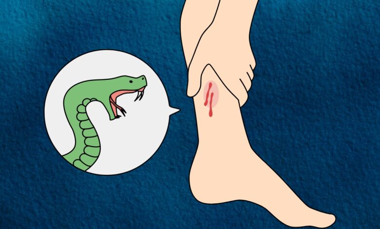 Residential school student bitten by snake, BRS slams Telangana govt