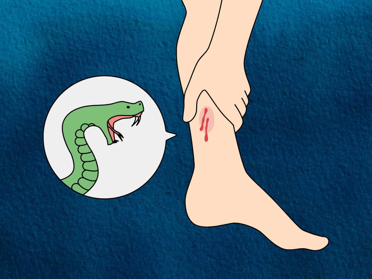 Residential school student bitten by snake, BRS slams Telangana govt