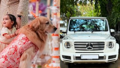 Do you know Anant Ambani's dog Happy too owns Rs 3 crore car?