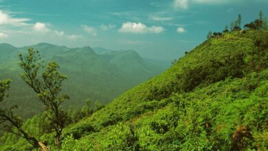 Ananthagiri Hills trip: A perfect Monsoon getaway near Hyderabad