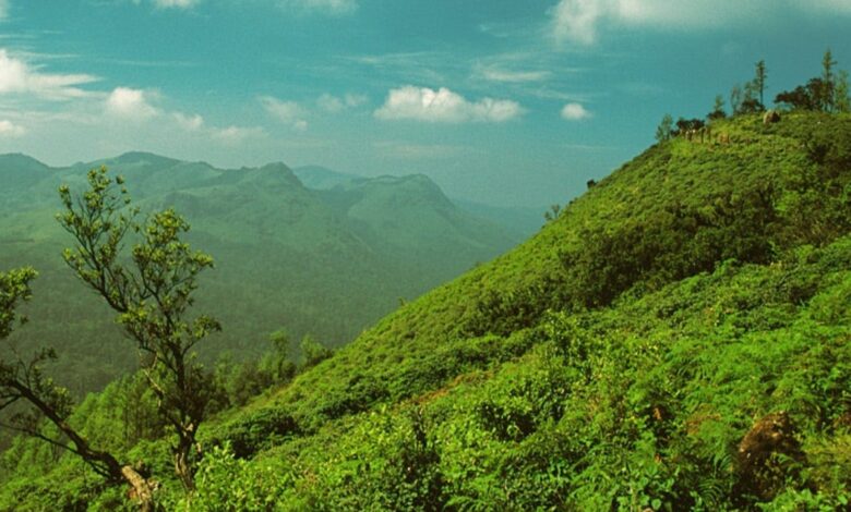 Ananthagiri Hills trip: A perfect Monsoon getaway near Hyderabad