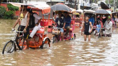 Assam flood situation grim, 24 lakh people affected in 29 districts