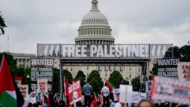 Protestors raise Palestinian flag, take down and burn US flag near Congress