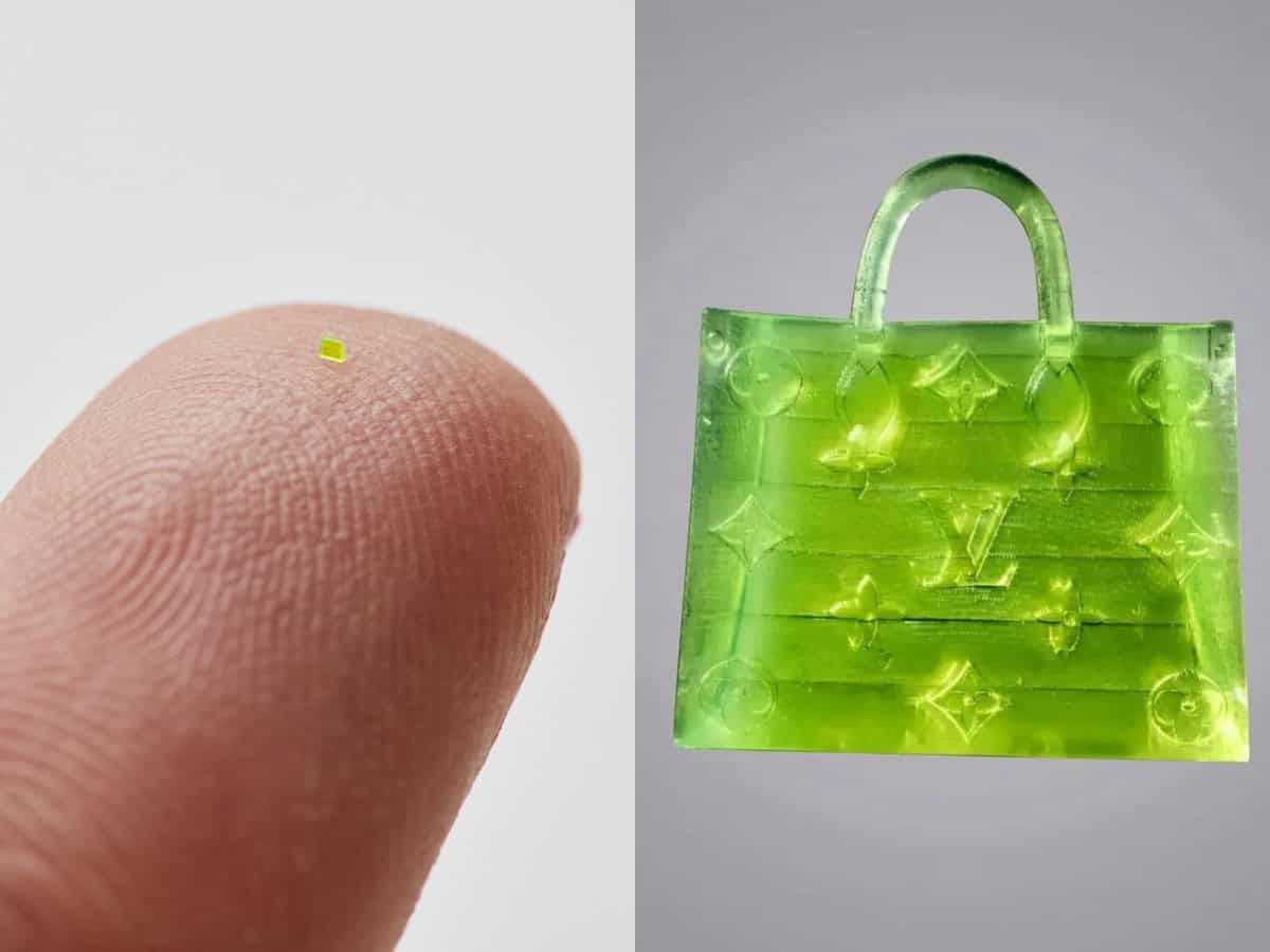 Tiny handbag sells for whopping Rs 51 lakh, smaller than salt grain