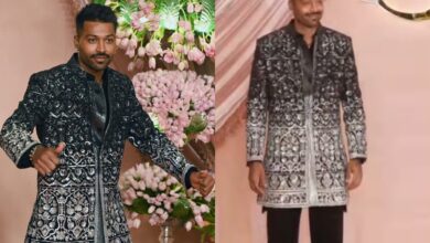 Hardik Pandya seen without Natasa at Ambani Event, divorce talks back