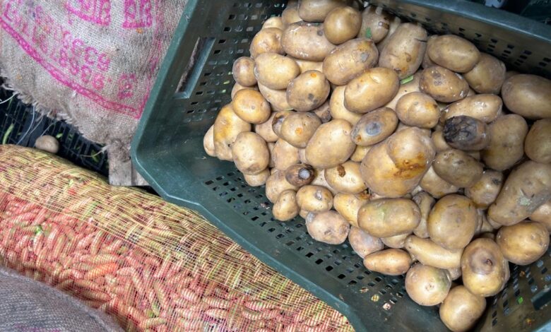 Food safety raids held on 387 hostels in Hyderabad Telangana in last 2 months