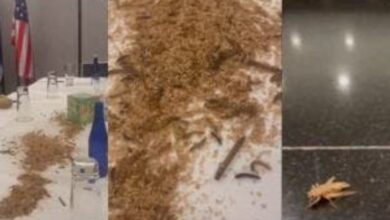 Video: Pro-Palestine activists release maggots, crickets in Netanyahu's hotel in US