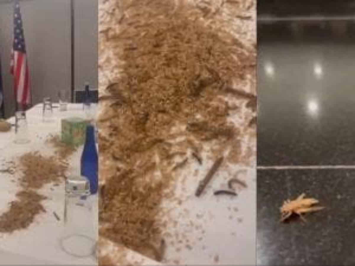 Video: Pro-Palestine activists release maggots, crickets in Netanyahu's hotel in US