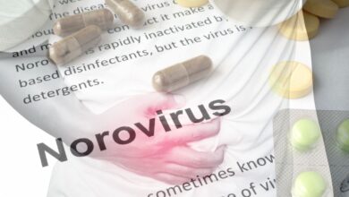 Hyderabad: 'No confirmed Norovirus cases in Old City, remain calm', says DPH