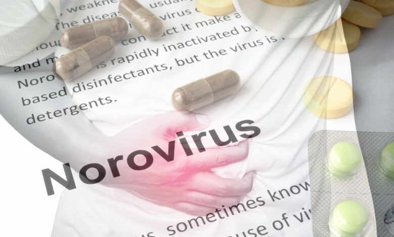 Hyderabad: 'No confirmed Norovirus cases in Old City, remain calm', says DPH