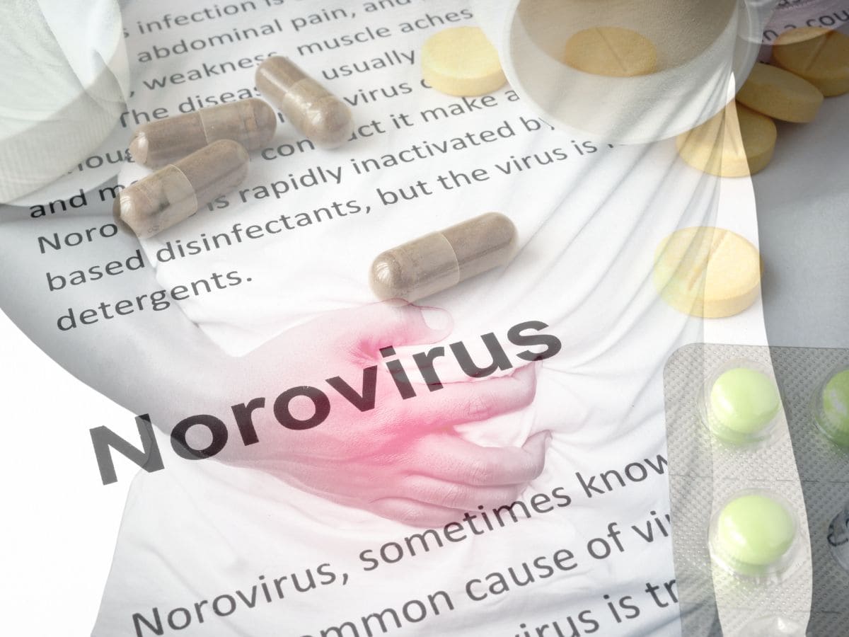 Hyderabad: 'No confirmed Norovirus cases in Old City, remain calm', says DPH