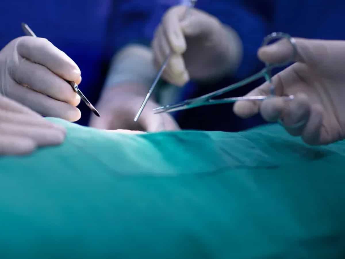 'Halal organs': China's alleged trade in forced organ harvesting of Uyghur Muslims