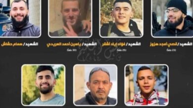 Seven Palestinians killed in Israeli raid in West Bank