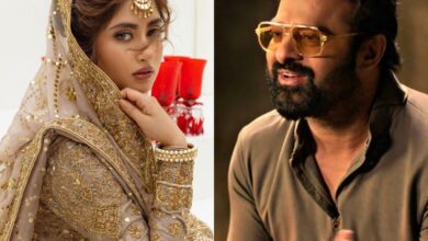 Pakistani actress in Prabhas' next movie Fauji: Rumours