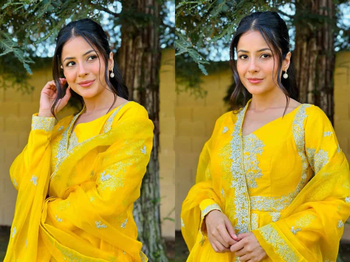Shehnaaz Gill is 'sunshine in a yellow dress' in new Insta photos
