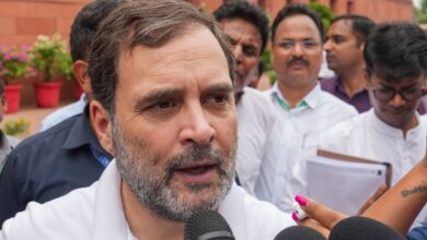 'Selective expunction': Rahul writes to LS Speaker, seeks restoration of expunged remarks