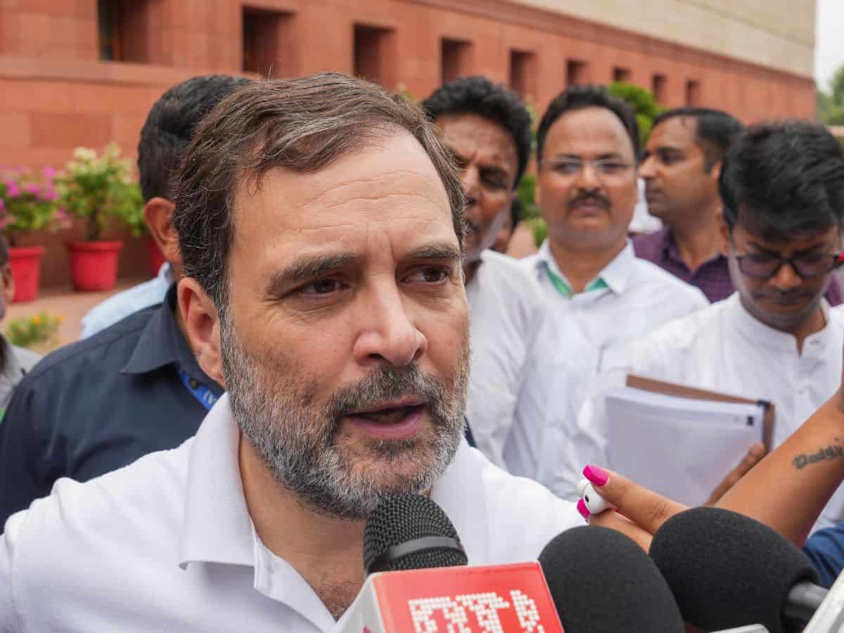 'Selective expunction': Rahul writes to LS Speaker, seeks restoration of expunged remarks